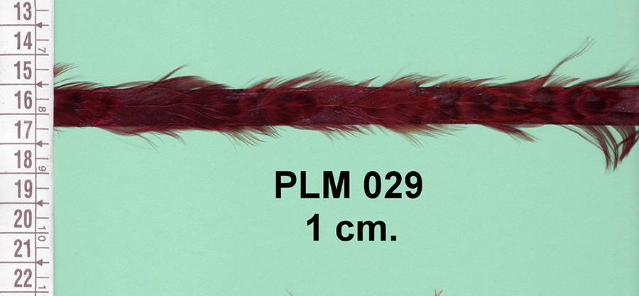 Galón de plumas marrón