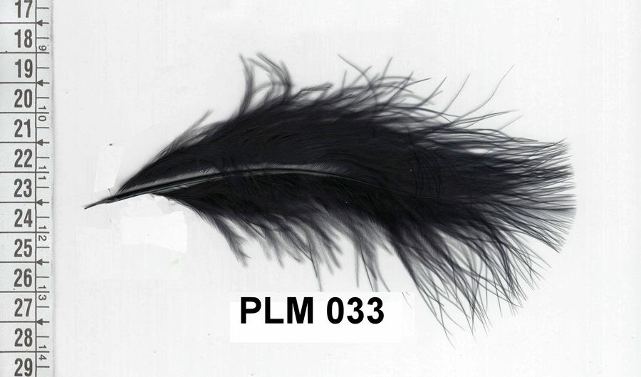 Pluma negra