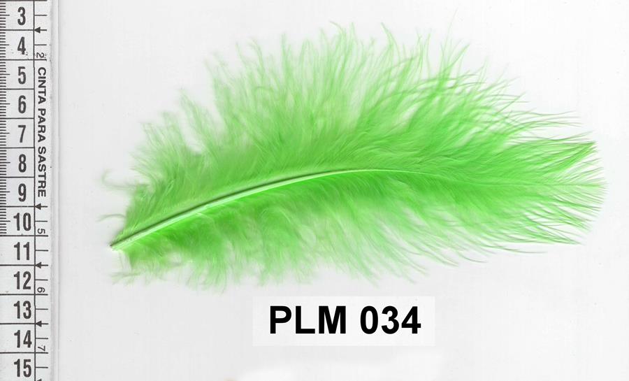 Pluma verde lima