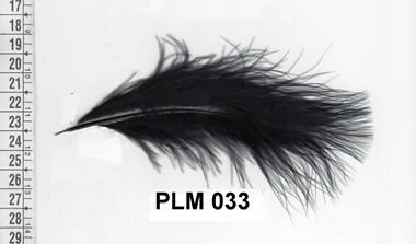 Pluma negra | PLM-033 | Tejidos, telas, complementos, tocados,sombrerería, plumas, tiras, encajes, bordados, botones, moda.
