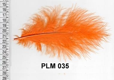 Pluma naranja | PLM-035 | Tejidos, telas, complementos, tocados,sombrerería, plumas, tiras, encajes, bordados, botones, moda.