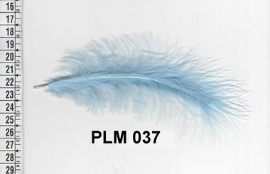 Pluma celeste porcelana | PLM-037 | Tejidos, telas, complementos, tocados,sombrerería, plumas, tiras, encajes, bordados, botones, moda.